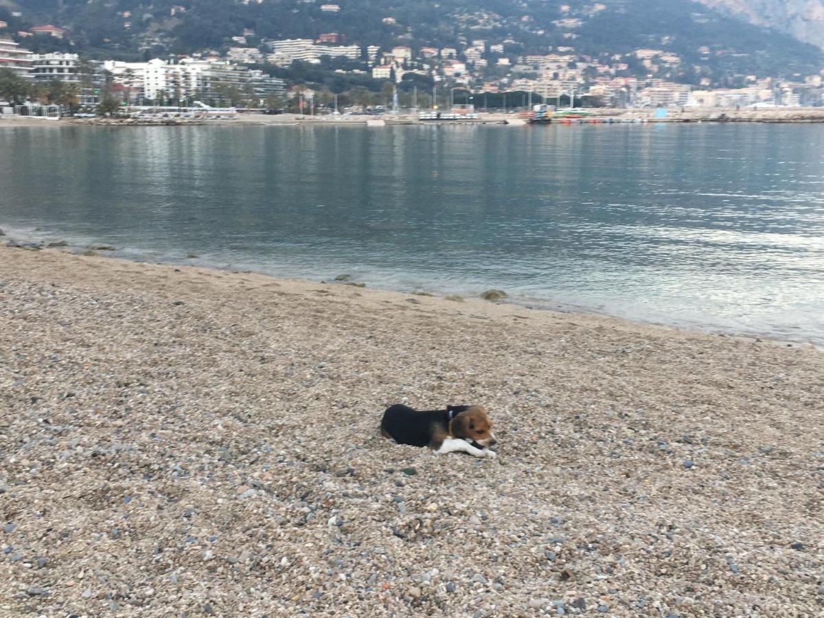 Appartement Maroelvi Menton Dış mekan fotoğraf